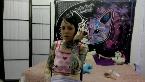 daryimiau online show from 04/11/26, 11:09