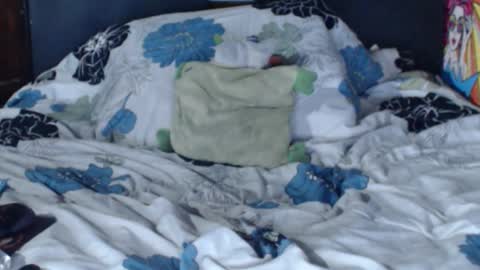 dasha6 online show from 02/12/25, 07:23