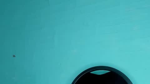 Dafne online show from 03/06/25, 08:48