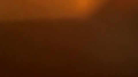 davdao3 online show from 03/23/26, 06:28