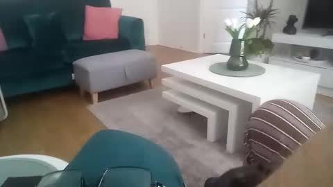 davf76 online show from 04/20/26, 07:33