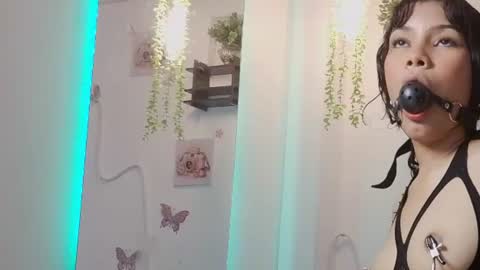 Davi online show from 06/11/26, 02:53