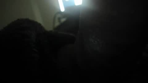 david089613 online show from 01/13/26, 07:08