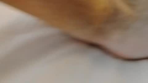 david1982yesyes online show from 03/02/26, 02:02