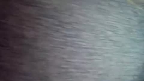 David1438 online show from 04/12/26, 11:37