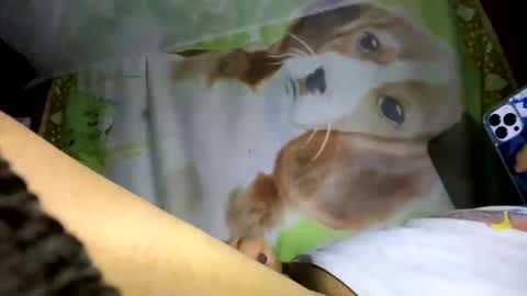 davzsoher online show from 01/10/25, 02:04