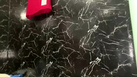 May online show from 04/12/26, 03:50