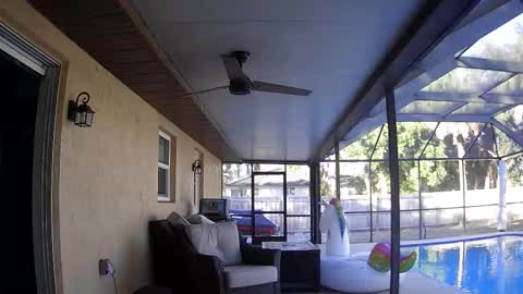 Dazey online show from 01/07/26, 08:55