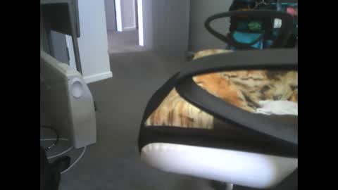 Dazzle68 online show from 03/14/26, 10:48