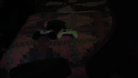 Snapshot of ddc444 chatting on 09/27/25, 08:36 DC online show from 09/27/25, 08:36