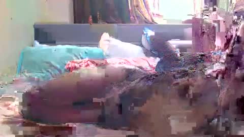 Snapshot of debbyslatter chatting on 02/21/25, 09:13 debbyslatter online show from 02/21/25, 09:13