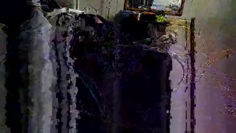 decoyx5o5 online show from 02/06/25, 06:40