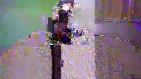 Snapshot of dee4dayz19 chatting on 06/01/26, 01:51 Dee4dayz online show from 06/01/26, 01:51