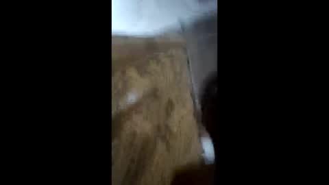 Snapshot of deeek56 chatting on 03/24/26, 04:28 deeek56 online show from 03/24/26, 04:28