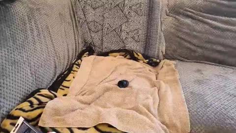 deepandwet86 online show from 02/28/26, 10:05