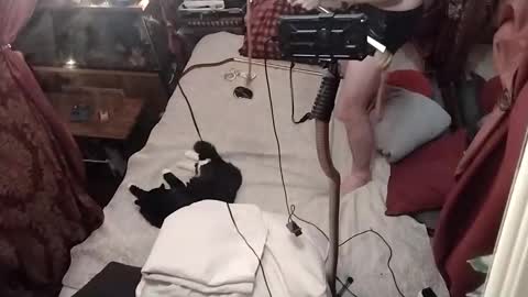 nik and cherry online show from 01/04/25, 04:44