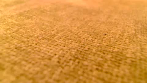 deliciaalove online show from 12/17/24, 07:37