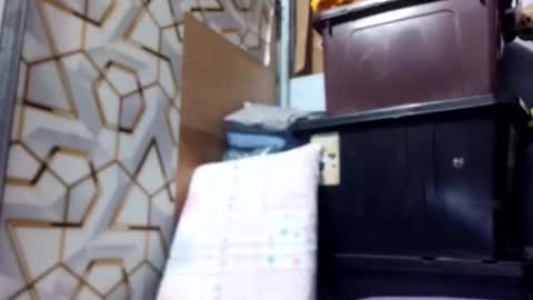 deliciousgirl975840 online show from 06/01/26, 07:15