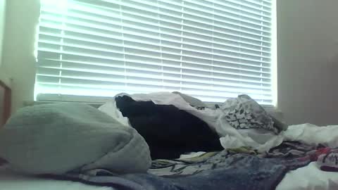 delightfuldark online show from 02/15/25, 11:47