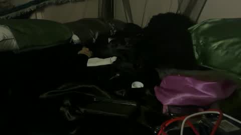 delightfuldark online show from 10/03/25, 11:07