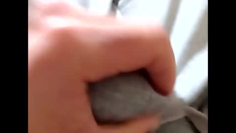 deliv_shopi online show from 01/08/26, 10:39