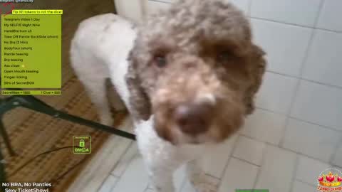 Yana online show from 04/14/26, 05:30