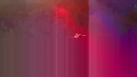 den2807 online show from 05/03/26, 10:49