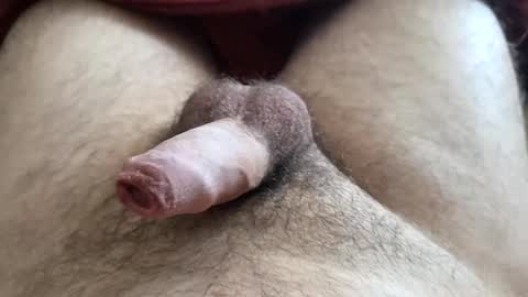 LilRoach online show from 12/01/25, 03:17