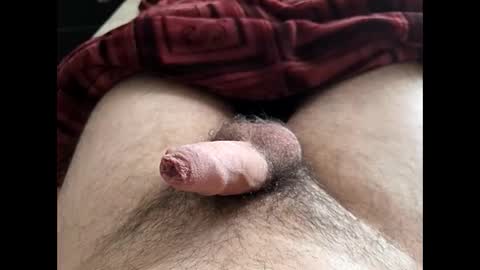 LilRoach online show from 02/10/26, 02:21