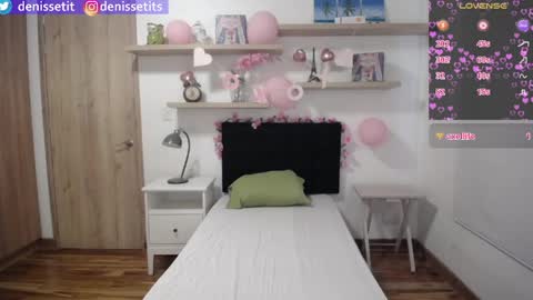 Snapshot of denissetits chatting on 04/24/26, 03:03 online show from 04/24/26, 03:03