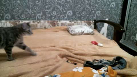 DennisXCarol online show from 02/18/25, 05:31