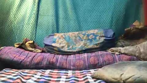 desi_boy799417 online show from 03/23/26, 09:46