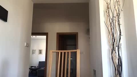 desirtexz online show from 04/25/26, 08:06