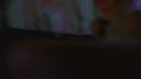 IMMACULATE BEAUTY online show from 11/26/25, 04:57