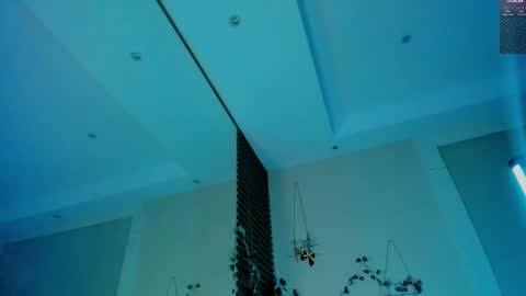 Devil online show from 02/19/25, 03:39