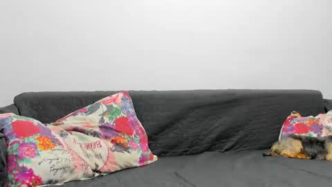 Snapshot of devinesex chatting on 02/03/25, 07:07 Misha online show from 02/03/25, 07:07