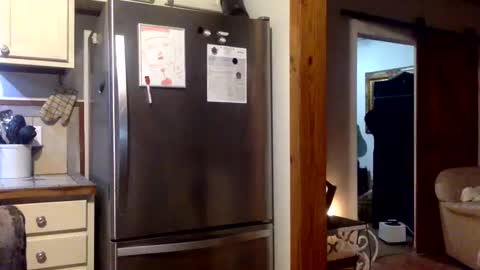 Snapshot of devjsav12 chatting on 01/19/25, 03:50 devjsav12 online show from 01/19/25, 03:50