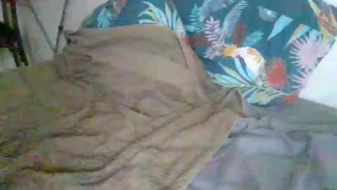 dexterwatchme online show from 01/15/26, 11:15