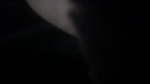 dfwgent3035 online show from 07/28/26, 11:17