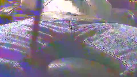 dfwgonewrong online show from 11/03/25, 04:47