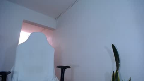 MaSSimo online show from 01/17/25, 03:00