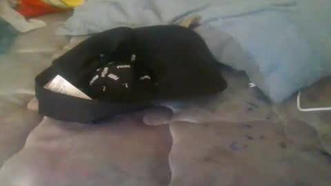 diamondeye112 online show from 12/23/25, 05:05