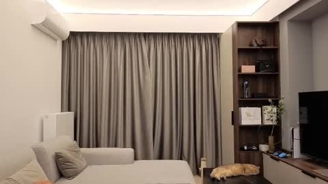 Iris online show from 12/13/25, 09:09