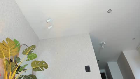 dianac1998 online show from 01/05/26, 09:18