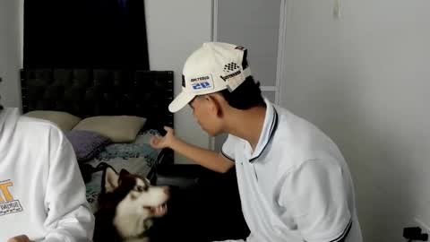 dick online show from 12/02/25, 12:10