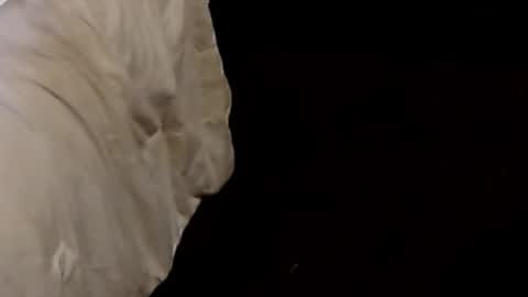 Sparkx online show from 09/09/25, 01:05