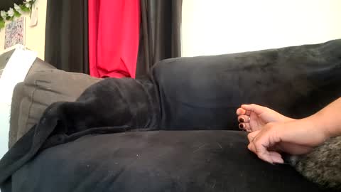 Snapshot of dickies6969 chatting on 09/20/25, 05:47 dickies6969 online show from 09/20/25, 05:47