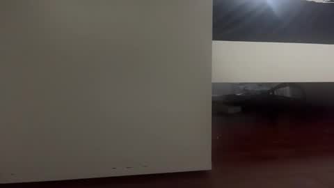 dickmanthe1 online show from 01/13/26, 06:57