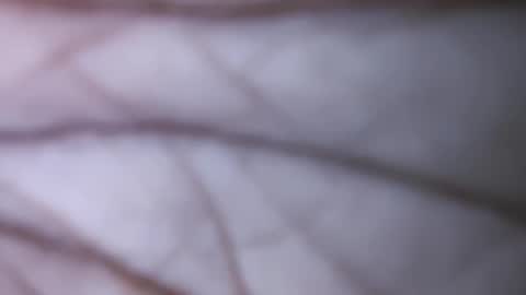 Dick balls online show from 12/01/24, 07:47