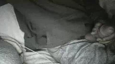 Snapshot of dickseenormous chatting on 01/10/25, 11:33 dick online show from 01/10/25, 11:33